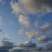 20080210_shimanetrip_021
